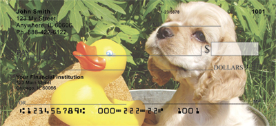 y romp about or take baths.  These dogs are adorable no matter what they do.