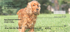 y romp about or take baths.  These dogs are adorable no matter what they do.