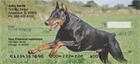 elds or bounding of to fetch a ball, capturing their power and beauty with every shot.
