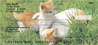 the lawn or cuddling together for a nap.  These House Cats, the Kittens Checks are a must have for any cat lover.