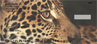 nd ready to strike, or lurking about the jungle, hunting for their next meal.