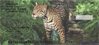 nd ready to strike, or lurking about the jungle, hunting for their next meal.