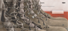  personal checks offer four distinct views of their boots in action. 