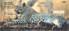 e images of leopards and their spots.