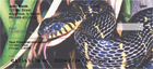  enjoy four rotating images of overlapping scales slithering across your checks.   