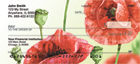  the world`s most popular wildflower. The Red Poppy is a small-size annual species that is sometimes called “Shirley Poppy”, “Flanders Poppy,” “American Legion Poppy”, and in England, “Corn Poppy.” 