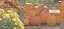 ove these fall mums in four rotating images to enjoy each time you use your checks.