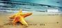  shoreline will have you dreaming of your next vacation each time you use your checks.  
