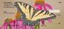 d it`s magnificent details as it gathers fluid. These checks rotate as you use them allowing you to appreciate the true beauty of a butterfly.