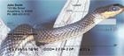 kes covered in scales will amaze you each time you use your checks. 