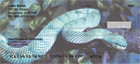 kes covered in scales will amaze you each time you use your checks. 