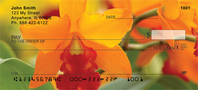 lose up views allowing you to see each special detail of these flowers.