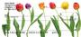 ks you`ll enjoy these bright and beautiful flowers.