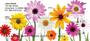 ks you`ll enjoy these bright and beautiful flowers.