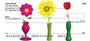 ks you`ll enjoy these bright and beautiful flowers.