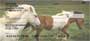  has these Horse checks starting at $ 5.99 every day for single checks, duplicates are only $ 2.00 more a box. Order your Horse Personal Checks today from Carousel Checks.    