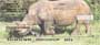 inosauruses, and Giraffe grace these personal checks.     