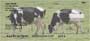 our rotating images bringing you right to the farm every time you use these checks!    