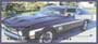 is sure to please and car lover.  A great set up classic muscle cars!    