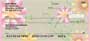 looms Personal Checks is a perfect check for all flower lovers.    