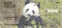 ds.  These checks are sure to make any panda lover feel as warm as these furry bears.
