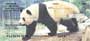 ds.  These checks are sure to make any panda lover feel as warm as these furry bears.