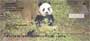 ds.  These checks are sure to make any panda lover feel as warm as these furry bears.