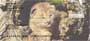  four rotating images of these little baby cats, these checks are sure to make you smile.