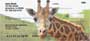spotted animals with their families.