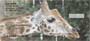 spotted animals with their families.