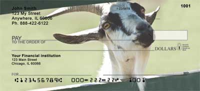 ey roam freely about a country barnyard.