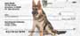 otating images depicting these animals in some of there finest stances.