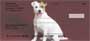 r pet them.  Great for any terrier or dog lover.