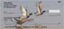 air or swim about lazily on the lake.  Images like these are sure to please any animal or duck lover.
