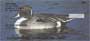 air or swim about lazily on the lake.  Images like these are sure to please any animal or duck lover.
