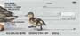 air or swim about lazily on the lake.  Images like these are sure to please any animal or duck lover.