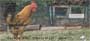 , which each of these four images will remind you of as your write each new check.