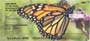  these multicolored insects grace your checks, bringing a new beautiful image of these butterflies with each check you write.