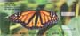  these multicolored insects grace your checks, bringing a new beautiful image of these butterflies with each check you write.