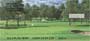 you wish you could be there relaxing on the green every time you open your checkbook.