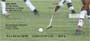 d animal.  Four rotating images capture several scenes of this game on its beautiful green field.