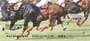 d animal.  Four rotating images capture several scenes of this game on its beautiful green field.