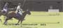 d animal.  Four rotating images capture several scenes of this game on its beautiful green field.