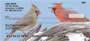 it is flying through the air, or perching in a tree, these cardinal checks depict the most majestic aspects of the cardinal.