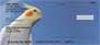 g images of these colorful birds as they perch, soar, and live freely.