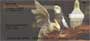 g images of these colorful birds as they perch, soar, and live freely.