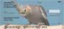 g images of these colorful birds as they perch, soar, and live freely.