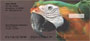 hecks.  Four rotating images of these colorful and talkative birds capture their elegance and charm.