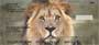 s, and tigers, these are sure to please any big cat lover.