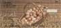 nd now, with our new Chickens Personal Checks, you can see these birds before they become your breakfast or evening meal.